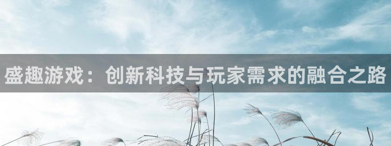多彩娱乐网页登录入口：盛趣游戏：创新科技与玩家需求的融合之路