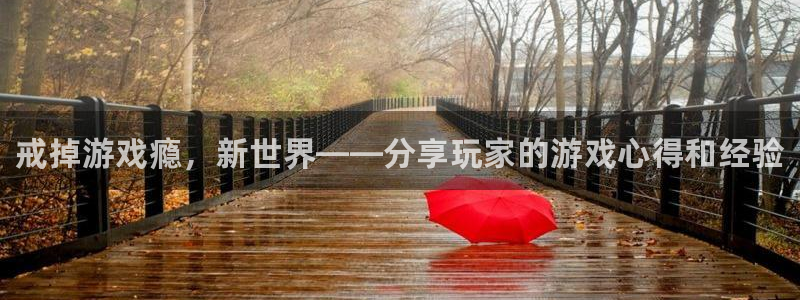 手机多彩娱乐下载安装：戒掉游戏瘾，新世界——分享玩家的游戏心
