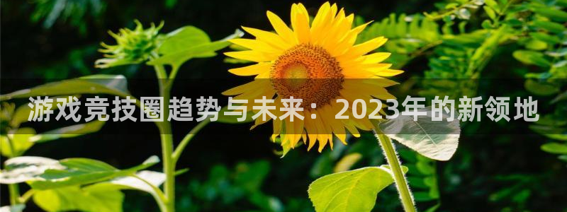 多彩娱乐登录：游戏竞技圈趋势与未来：2023年的新领地