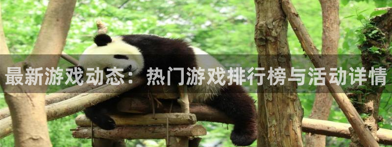 多彩娱乐注册地址：最新游戏动态：热门游戏排行榜与活动详情