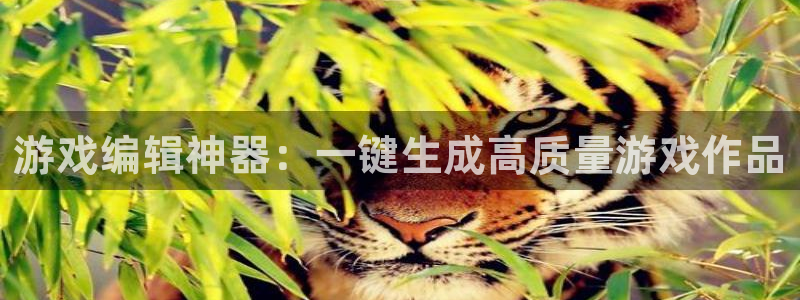 多彩娱乐开户测速：游戏编辑神器：一键生成高质量游戏作品