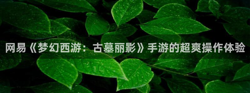 多彩娱乐平台官网客服电话：网易《梦幻西游：古墓丽影》手游的超