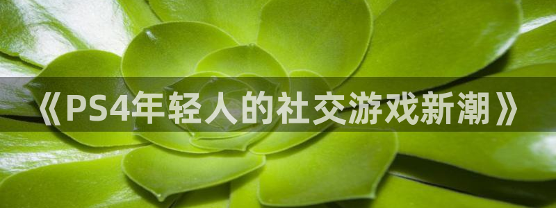 多彩娱乐4招商：《PS4年轻人的社交游戏新潮》