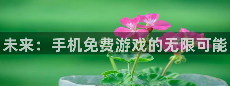 多彩娱乐登录地址：未来：手机免费游戏的无限可能