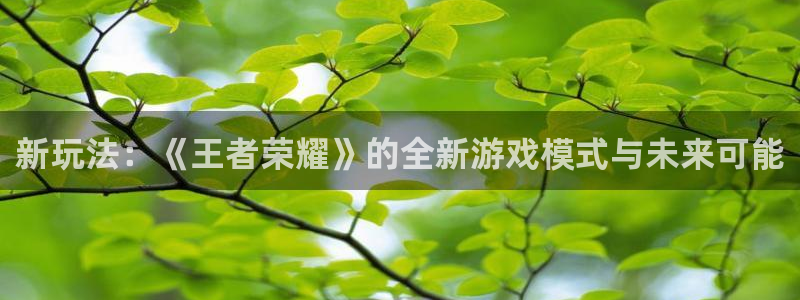 多彩娱乐平台登陆：新玩法：《王者荣耀》的全新游戏模式与未来可