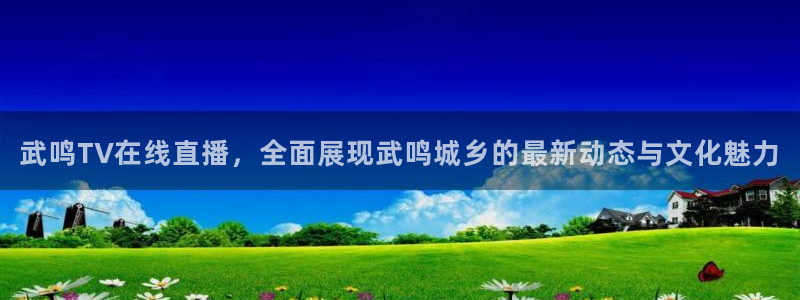 球神直播体育在线观看网址：武鸣TV在线直播，全面展现武鸣城乡的最新动态与文化魅力